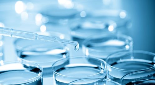 細(xì)胞培養(yǎng)干貨總結(jié) 生物科技領(lǐng)域的關(guān)鍵技術(shù)與實踐要點(diǎn)