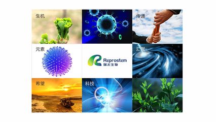 瑞太生物科技 推動生物技術創(chuàng)新，引領健康未來